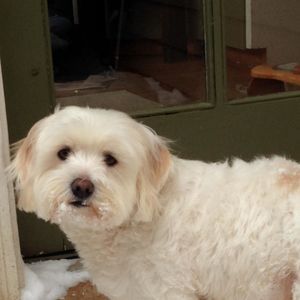 Meet your Posher, Kelli